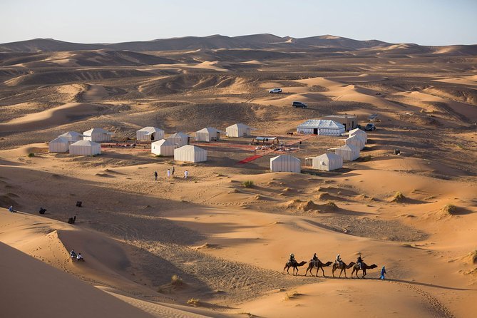 7-day camel trekking Morocco – Erg Chigaga dunes at golden hour, M'Hamid Sahara tour