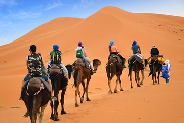 Camel Ride in the Sahara – Erg Chebbi dunes at sunset Merzouga
