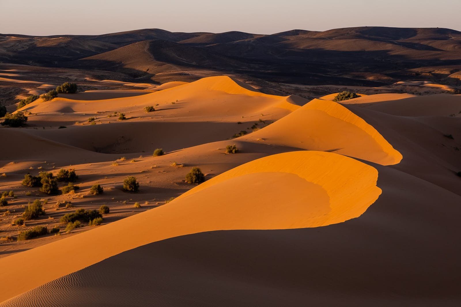 Sahara trekking Morocco – dunes and hamada terrain