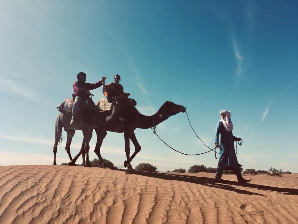 8 Day Camel Trekking Morocco – caravan on Erg Chigaga golden dunes at sunset