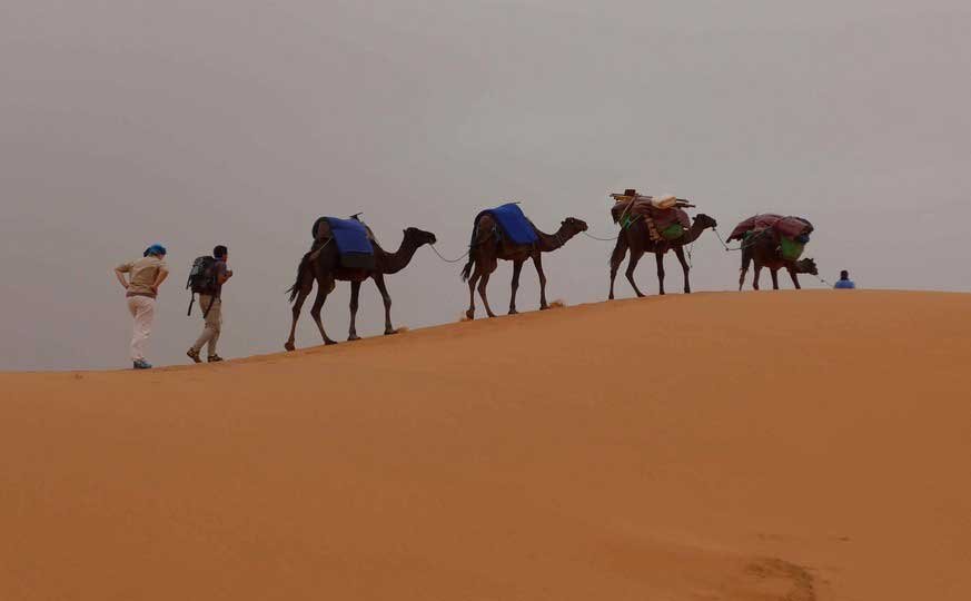 Morocco trekking landscapes – dunes, hamada and tamarisk