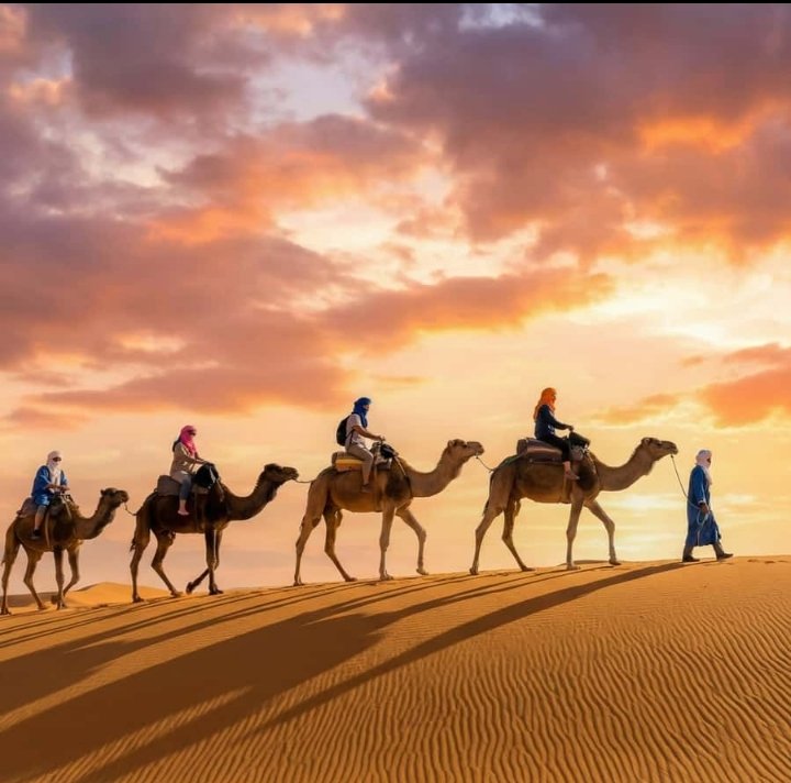 Best time to visit morocco travel guide 2026